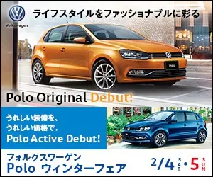 Volkswagen Polo Winter Fair