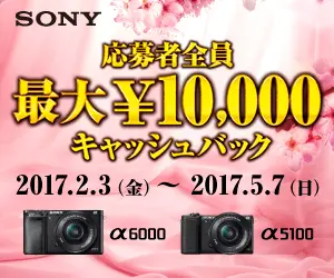  Up to ?10,000 cash back for all applicants SONY