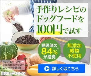 Try handmade recipe dog food for 100 yen Letician
