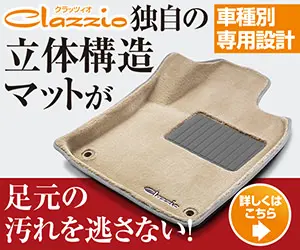 Clazzio's unique three-dimensional structure mat keeps dirt from escaping underfoot!
