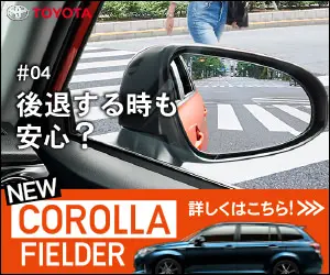 #04Will you be safe when backing out of a car?