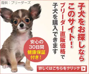  If you are looking for a puppy, this is the site for you! Breeders