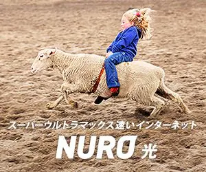 Super Ultra Max Fast Internet NURO Hikari