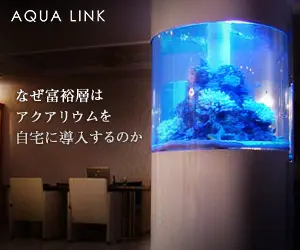 Why do wealthy people install aquariums in their homes AQUA LINK