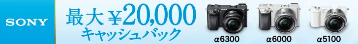 Up to 20,000 cash back SONY