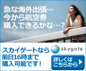 Sudden overseas business trip...Can I buy air tickets now...?