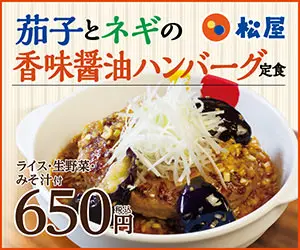 Eggplant and leek hamburger steak set meal with soy sauce and spices - Matsuya