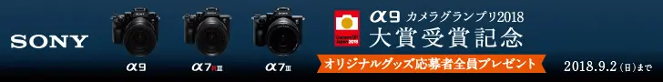 Camera Grand Prix 2018 Grand Prize Commemorative SONY α9