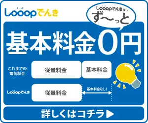 Looop Electricity