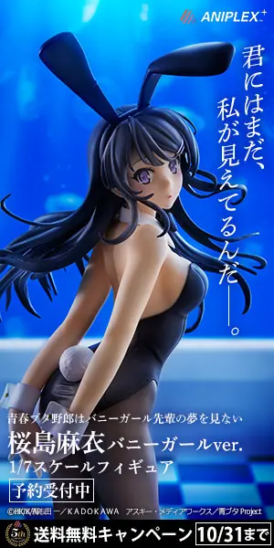 You can still see me-. Mai Sakurajima Bunny Girl ver.