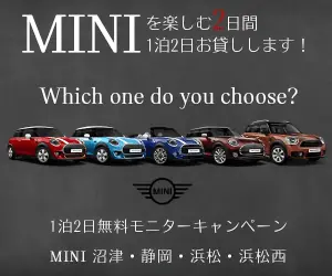 2 days and 1 night rental to enjoy MINI!