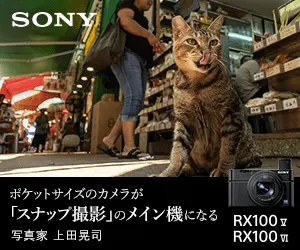  Pocket-sized camera becomes the main device for "snapshots" SONY RX100
