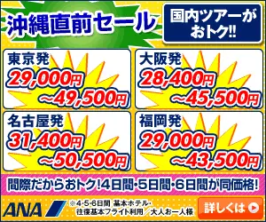 Okinawa Last Minute Sale ANA