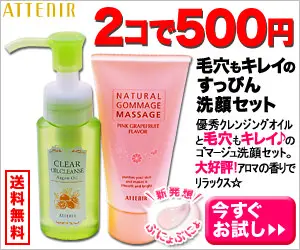 500 yen for 2 pieces ATTENIR