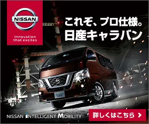 This is professional. Nissan Caravan