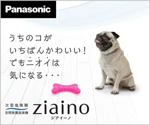 ziaino Panasonic
