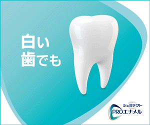 Schmictect PRO Enamel