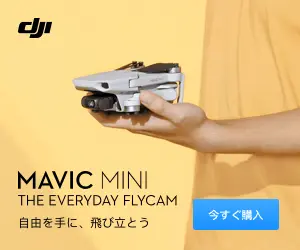 Mavic Mini DJI