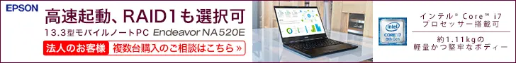 Fast startup, RAID1 selectable Endeavor NA520E