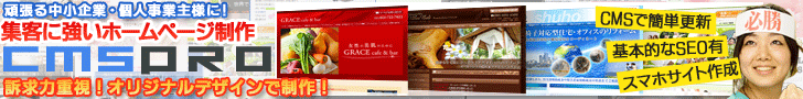 CMS Pro Creating a website that attracts customers