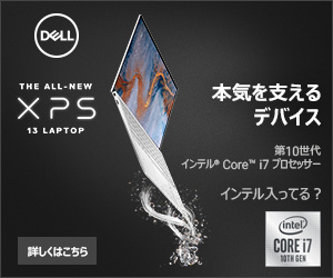 The device that supports seriousness DELL XPS