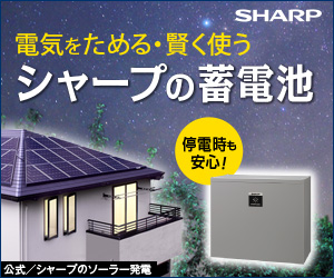 Store and Use Electricity Wisely Sharp's Storage Batteries