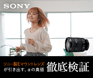 Sony E-mount lenses bring out the true value of the α.
